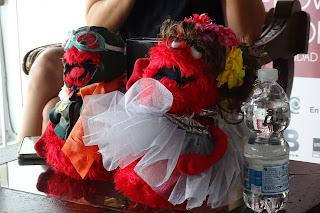 Crónica XI Certamen Internacional de Novela Histórica Ciudad de Úbeda