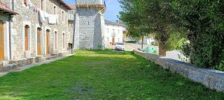 Nuevas fotos de 2021