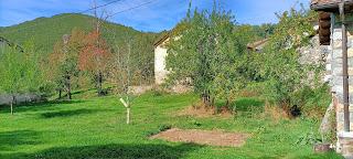 Nuevas fotos de 2021