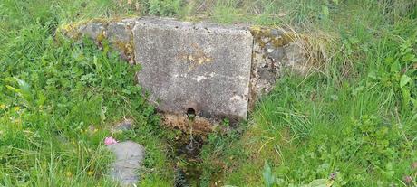 Fotos 21 de junio de 2021