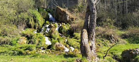 Fotos 21 de junio de 2021