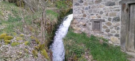 Fotos 21 de junio de 2021