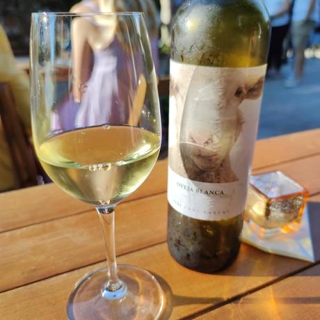 Cata de Vinos de Península Wines en la Bienal Burgos Capital del Vino