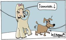 Mi propuesta de lectura de prensa para hoy martes, 25 de octubre