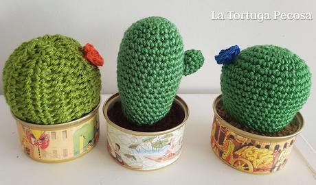 CACTUS FAMILY 2