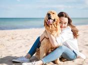 Ayudar protectoras compra bolsas pienso