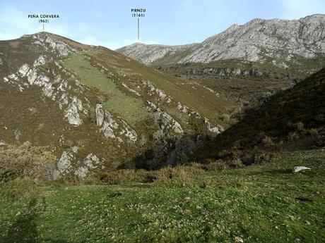 Cofiñu-Bustacu-Les Corripies-Mirueñu