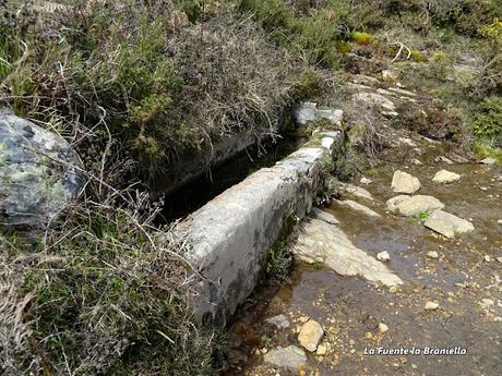 Cofiñu-Bustacu-Les Corripies-Mirueñu