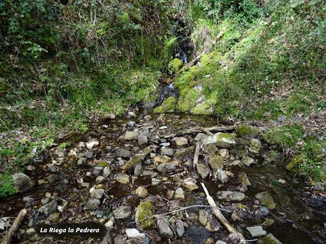 Cofiñu-Bustacu-Les Corripies-Mirueñu