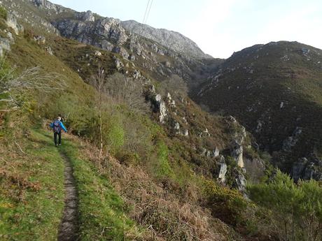 Cofiñu-Bustacu-Les Corripies-Mirueñu