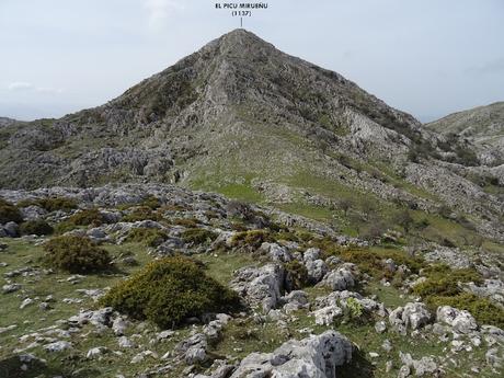 Cofiñu-Bustacu-Les Corripies-Mirueñu