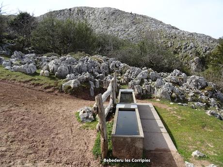 Cofiñu-Bustacu-Les Corripies-Mirueñu