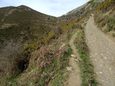 Cofiñu-Bustacu-Les Corripies-Mirueñu