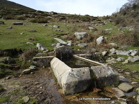 Cofiñu-Bustacu-Les Corripies-Mirueñu