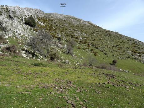 Cofiñu-Bustacu-Les Corripies-Mirueñu Cofiñu-Bustacu-Les Corripies-Mirueñu
