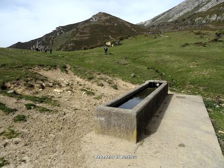 Cofiñu-Bustacu-Les Corripies-Mirueñu