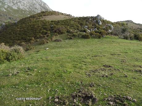Cofiñu-Bustacu-Les Corripies-Mirueñu