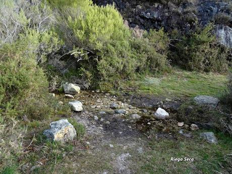 Cofiñu-Bustacu-Les Corripies-Mirueñu