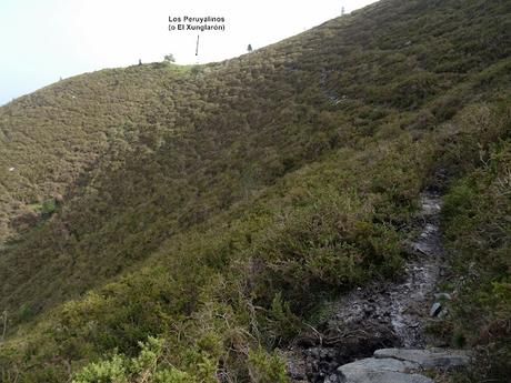 Cofiñu-Bustacu-Les Corripies-Mirueñu