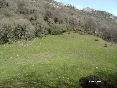 Cofiñu-Bustacu-Les Corripies-Mirueñu