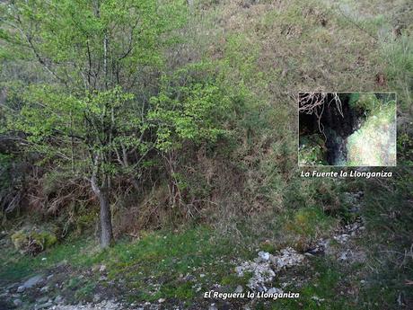 Cofiñu-Bustacu-Les Corripies-Mirueñu