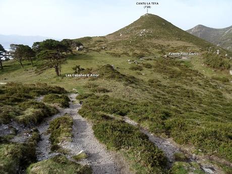 Cofiñu-Bustacu-Les Corripies-Mirueñu