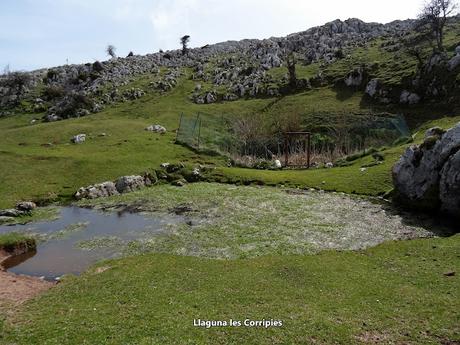 Cofiñu-Bustacu-Les Corripies-Mirueñu