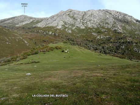 Cofiñu-Bustacu-Les Corripies-Mirueñu