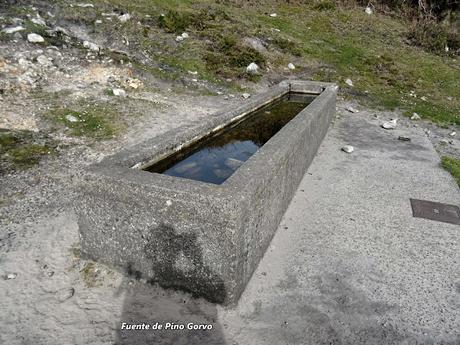 Cofiñu-Bustacu-Les Corripies-Mirueñu