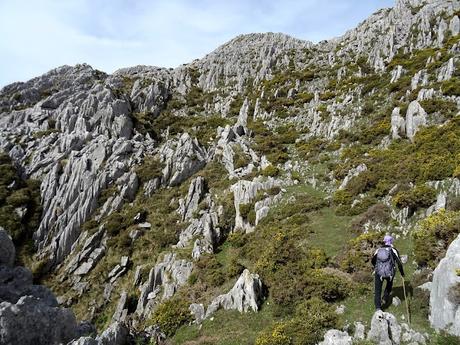 Cofiñu-Bustacu-Les Corripies-Mirueñu