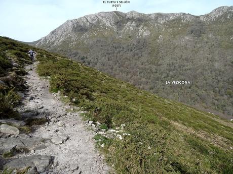 Cofiñu-Bustacu-Les Corripies-Mirueñu