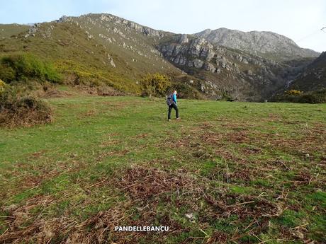 Cofiñu-Bustacu-Les Corripies-Mirueñu