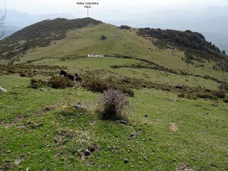 Cofiñu-Bustacu-Les Corripies-Mirueñu