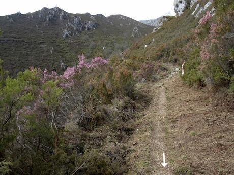 Cofiñu-Bustacu-Les Corripies-Mirueñu