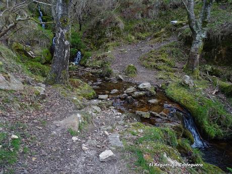Cofiñu-Bustacu-Les Corripies-Mirueñu