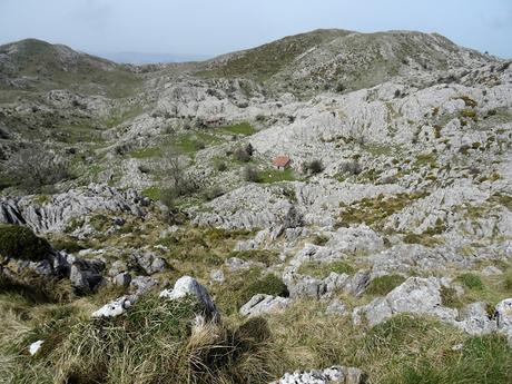 Cofiñu-Bustacu-Les Corripies-Mirueñu