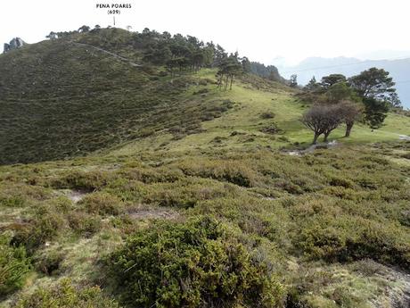 Cofiñu-Bustacu-Les Corripies-Mirueñu