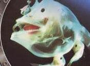 Parthenon Mare Tenebris (2005)