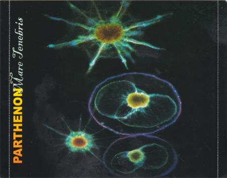 Parthenon - Mare Tenebris (2005) Parthenon - Mare Tenebris (2005)