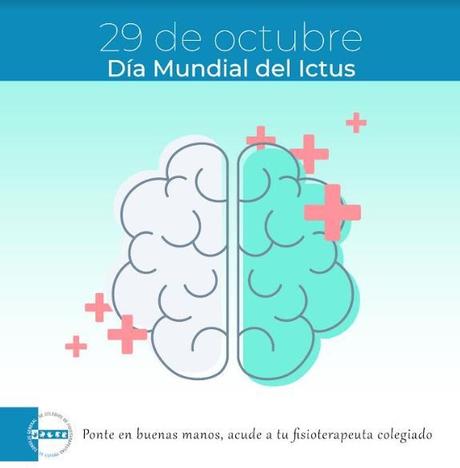 El Consejo General de Colegios de Fisioterapeutas de España recuerda que la fisioterapia es clave en el tratamiento de los pacientes que han sufrido un ictus