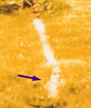 Un rostro en el césped del cementerio.