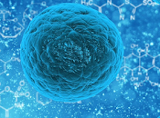 Células sensibles revividas ojos donantes.