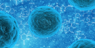 Células sensibles a la luz revividas en ojos de donantes.