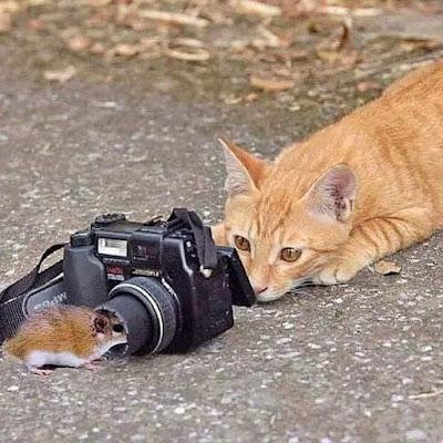 Vidas rotas de humoristas: Pablo Hasél, Valtonyc, Elgio… Y el lodazal de la ultraderecha. Vidas rotas de humoristas: Pablo Hasél, Valtonyc, Elgio… Y el lodazal de la ultraderecha.