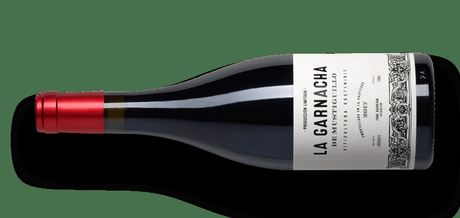 Garnacha o garnacha tinta Garnacha o garnacha tinta