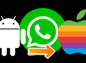 Nueva Función WhatsApp Para Migrar Chats Android iPhone