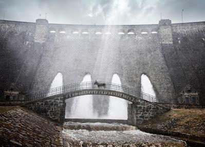 EO (Polonia, Italia; 2022) Drama, Social