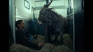 EO (Polonia, Italia; 2022) Drama, Social