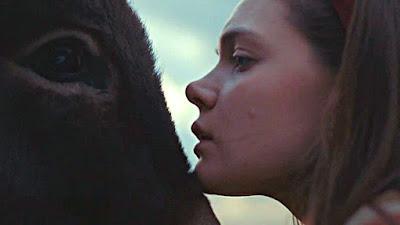 EO (Polonia, Italia; 2022) Drama, Social