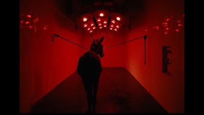 EO (Polonia, Italia; 2022) Drama, Social